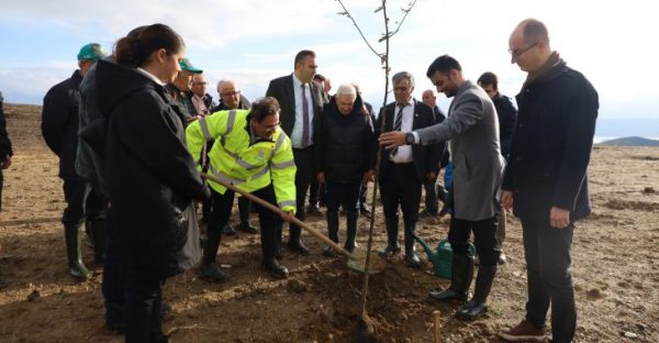 Büyükşehir’den şehit Aybüke öğretmen anısına hatıra ormanı
