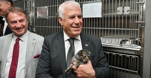 Bursa Büyükşehir’den can dostlara şefkat