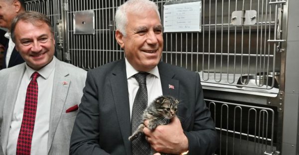 Büyükşehir’den can dostları için önemli proje