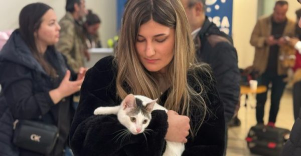 Sevimli can dostlar yeni yuvalarına kavuştu