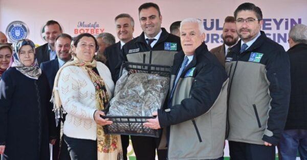Büyükşehir’den çiftçiye 1 milyon 222 bin adet çilek fidesi