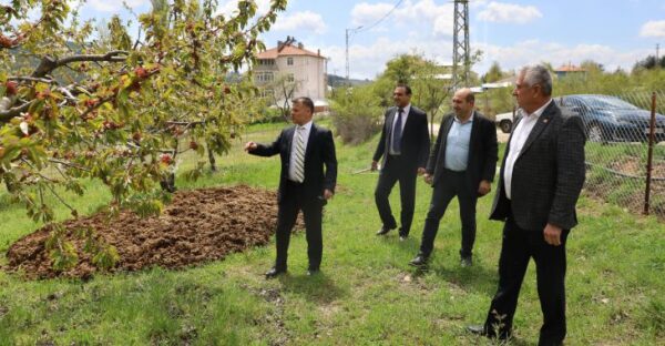 Büyükşehir’den zirai don mağduru çiftçiye destek