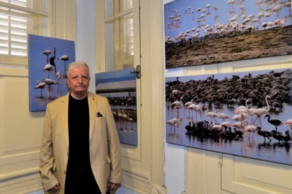 Flamingo Adası, Bornova’da Sanatseverlerle Buluştu