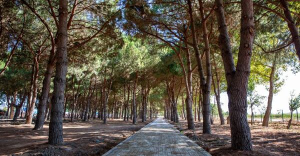 Bursa’ya devasa park ve mesire alanı