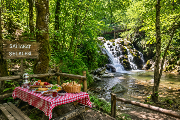Bursa Piknik Alanları Rehberi: Doğayla İç İçe En Güzel Piknik Yerleri